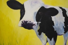 Animales | Animals