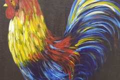 Aves_05_gallo