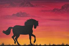 Granja_caballo_03_-sunset-horse