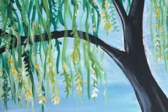 Arbol_015_willow-tree.png-1