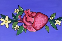 Anatomiaorganos_4_Corazon-de-Hecma