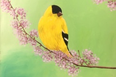Corp_Aves_08_goldfinch