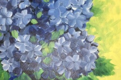 Flores_012_hydrangea-hortensia