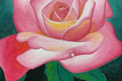 Flores_018_rose