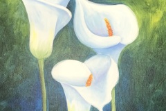 Flores_04_calla-lillies-lirios-blancos