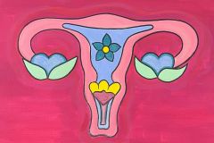 Personas_Desnudos-18_06_utero.png