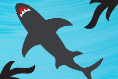 Marinos_12_Under-the-Shark